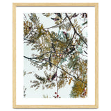 Patterns In Nature thumbnail
