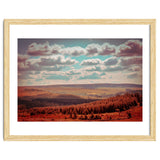 Dartmoor Forest thumbnail