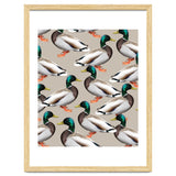 Mallards thumbnail
