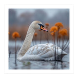 White Swan Swimming In A Lake With Reeds (Print Only) thumbnail