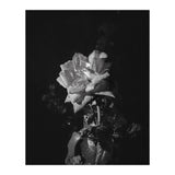 Romantic | Black & White (Print Only) thumbnail