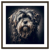 Old Dog 03 thumbnail