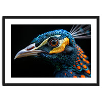 Close Up Of A Peacock Bird Head Eye