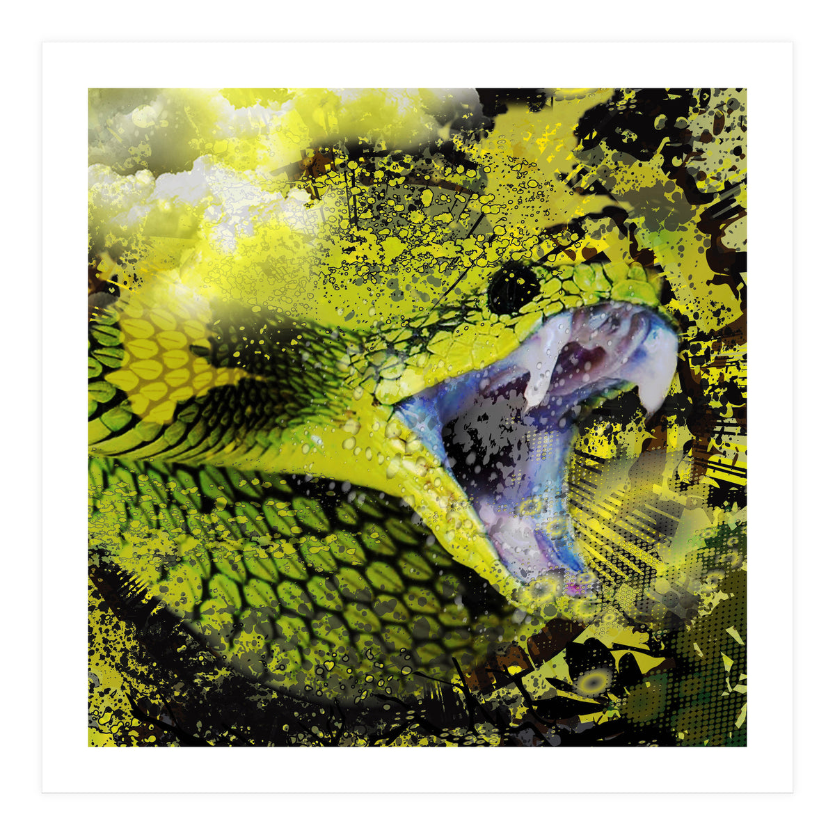 Green Viper Reptile (Print Only)