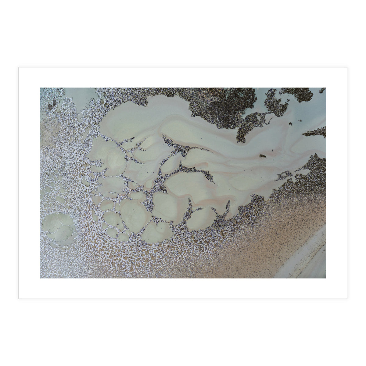 Shifting (Print Only)