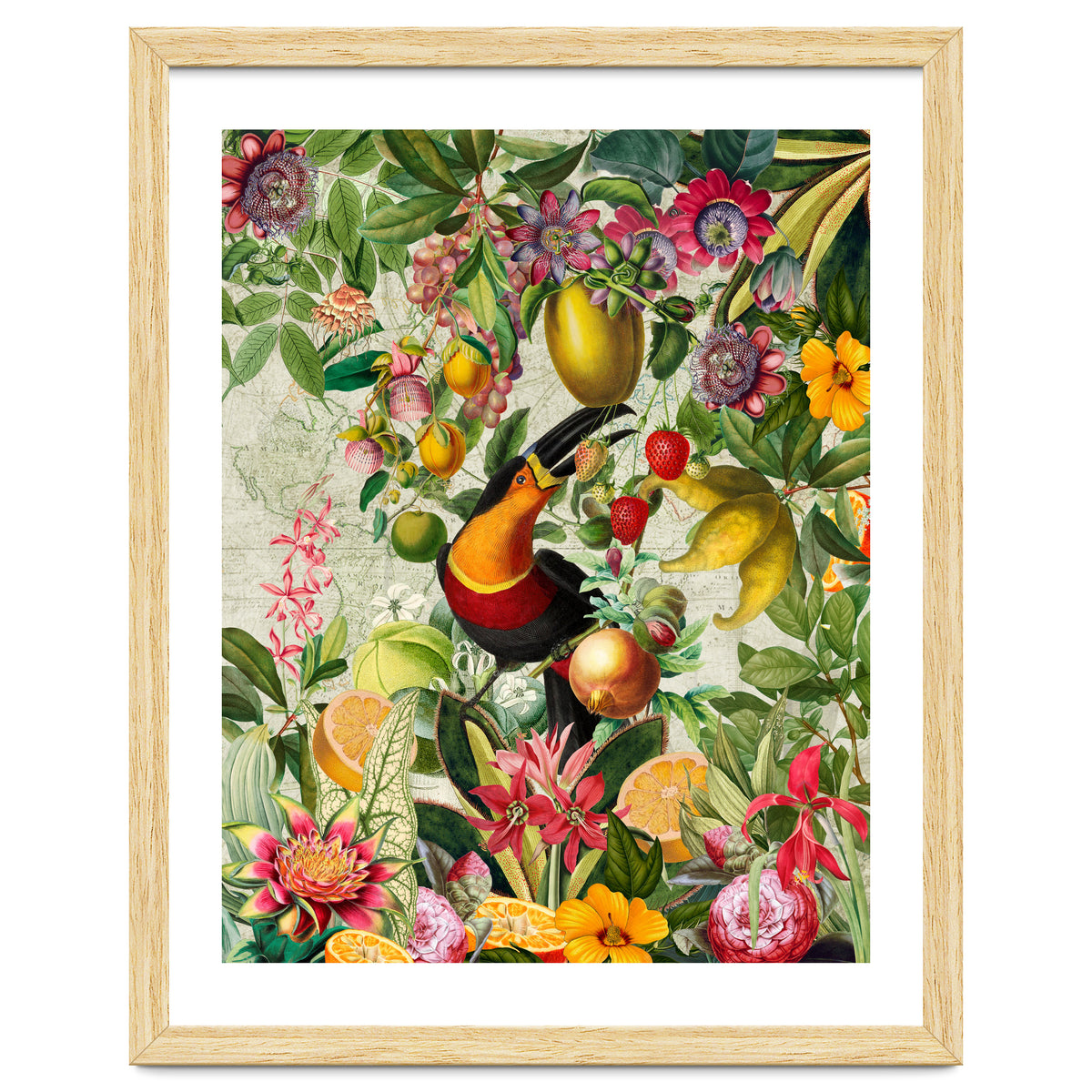 Toucan vintage jungle 1
