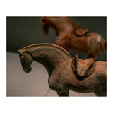 Horse (Print Only) thumbnail