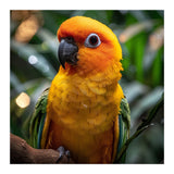 Sun Conure Parrot Colorful Bird Perched On Branch (Print Only) thumbnail