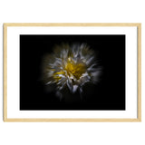 Backyard Flowers No 25 Color Flow Version thumbnail
