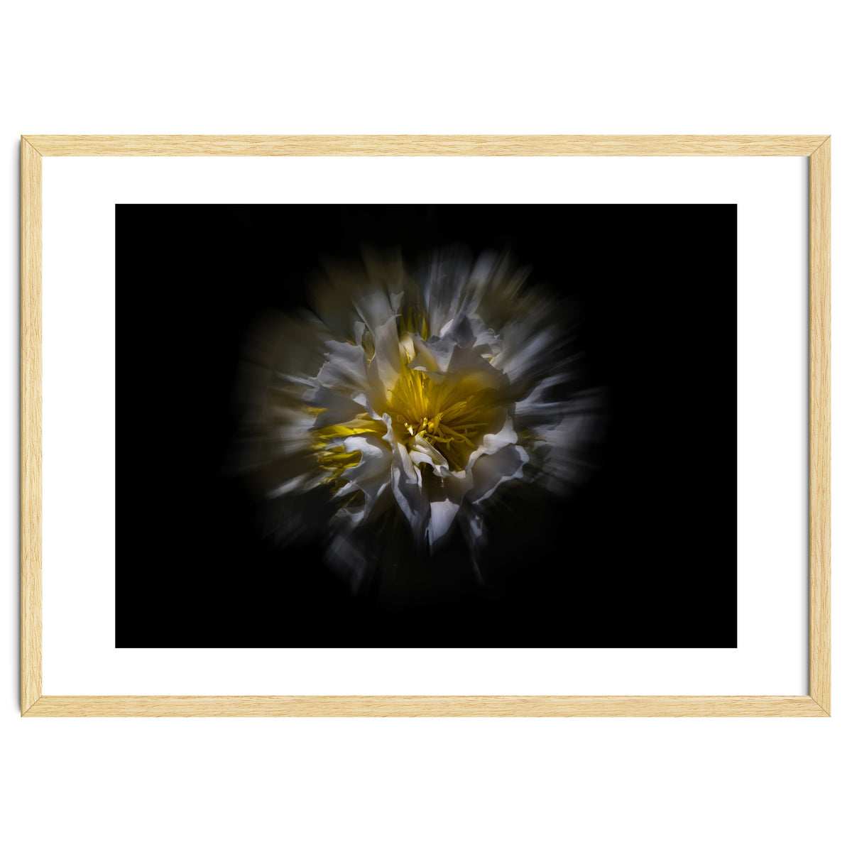 Backyard Flowers No 25 Color Flow Version