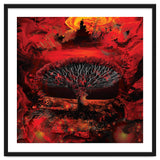 Socotra Dragon Blood tree thumbnail
