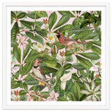 Tropical Bird Garden thumbnail