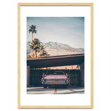 Palm Springs Pink thumbnail