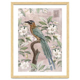Exotic Bird thumbnail