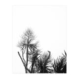 Miminalist Palm (Print Only) thumbnail