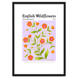 English Wildflowers | Scarlet Pimpernel thumbnail