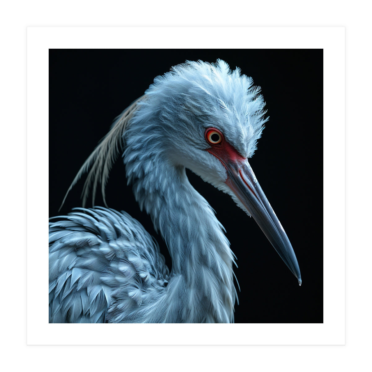 Striking Portrait Of A Blue Heron Bird (Print Only)