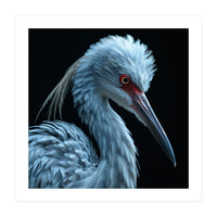 Striking Portrait Of A Blue Heron Bird (Print Only)