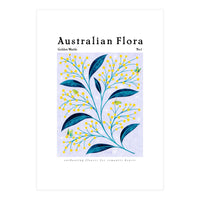 Australian Flora: Golden Wattle (Print Only)