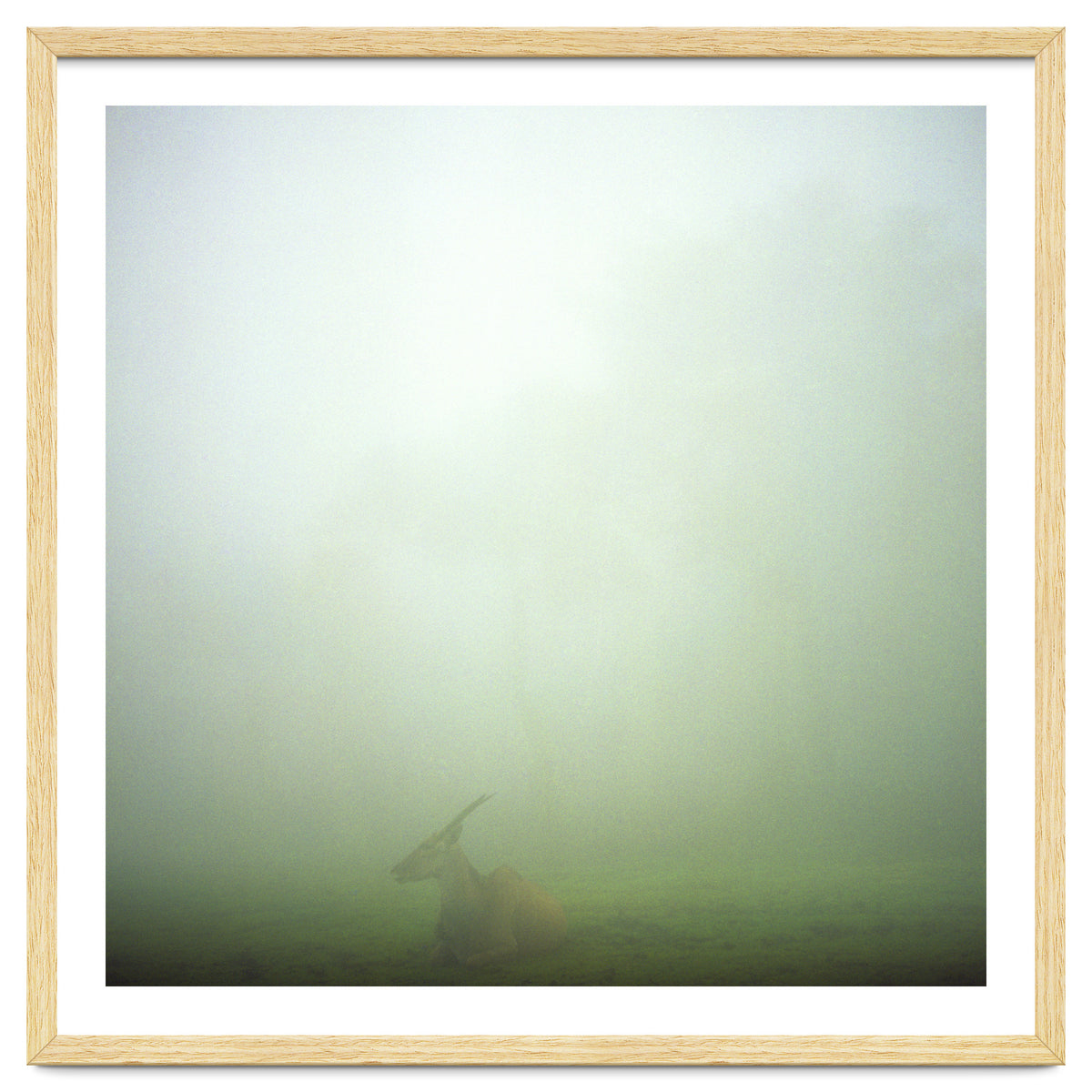 Silence of breath - 06