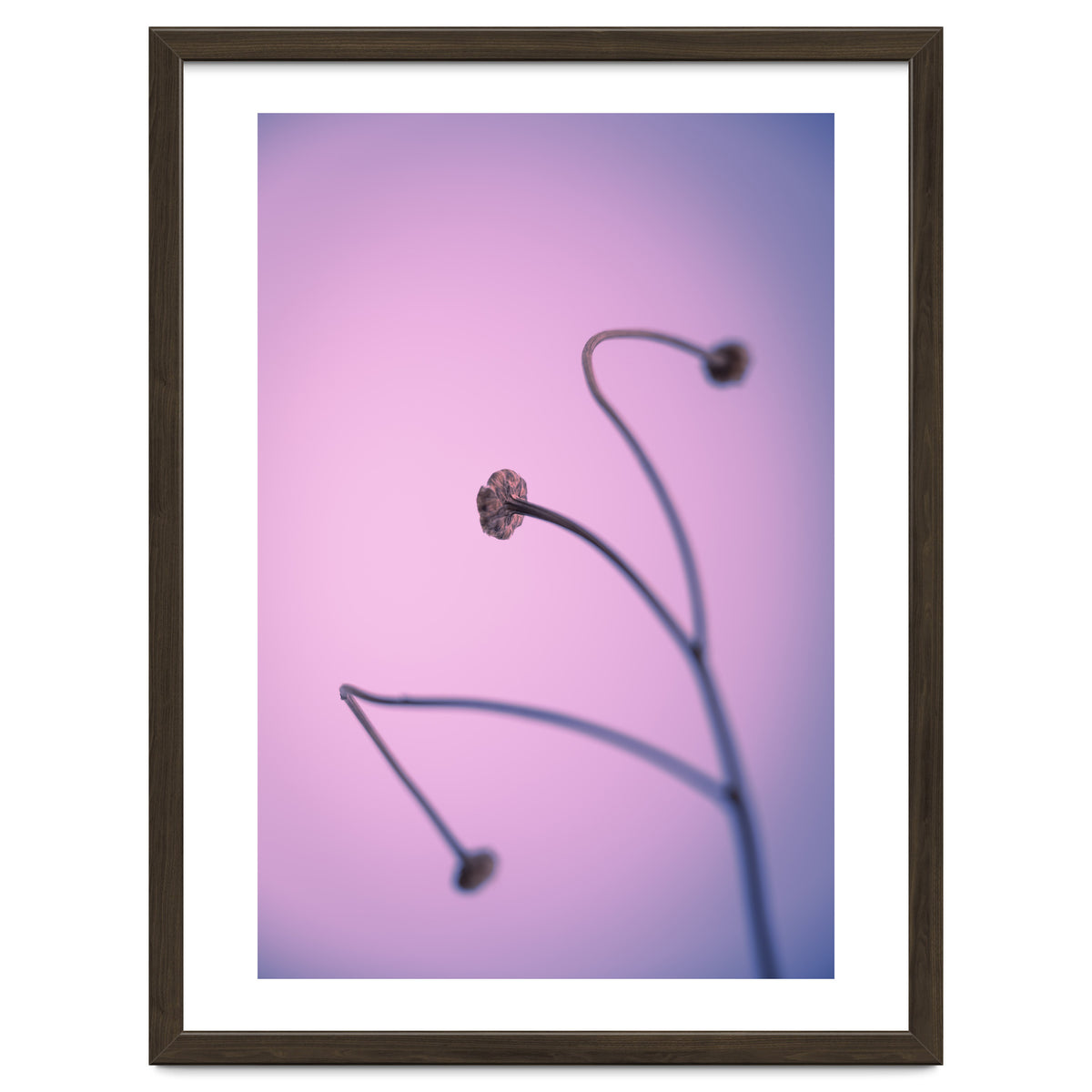 In light of current events VI