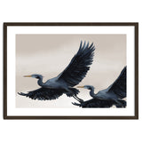 Migrating Herons thumbnail