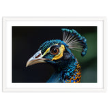 Close-up of a Peacock’s Head thumbnail