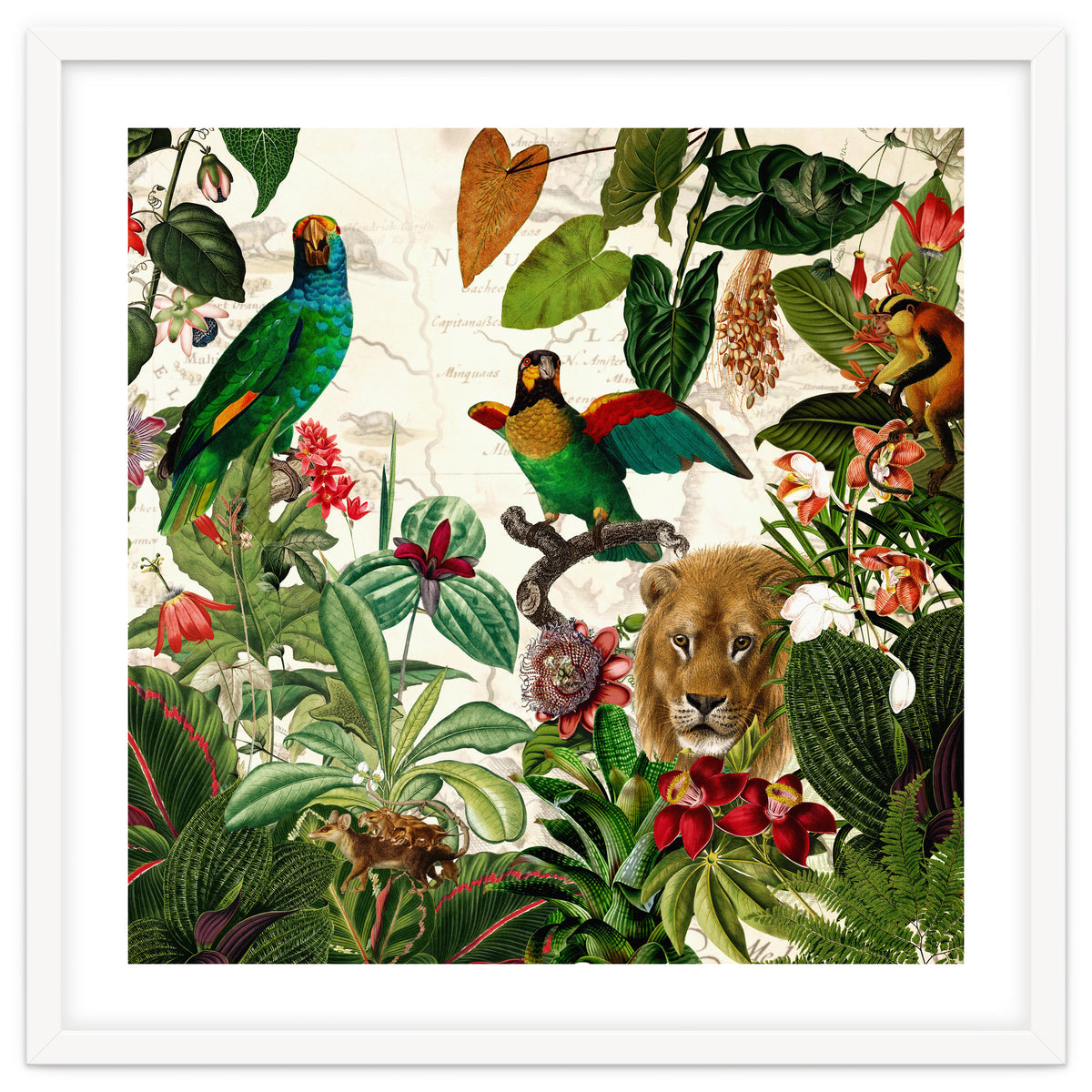 Exotic Lush Jungle And Wild Animals Landscape