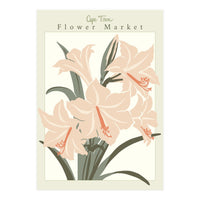 Flower Market Cap Town Amaryllis (Print Only)