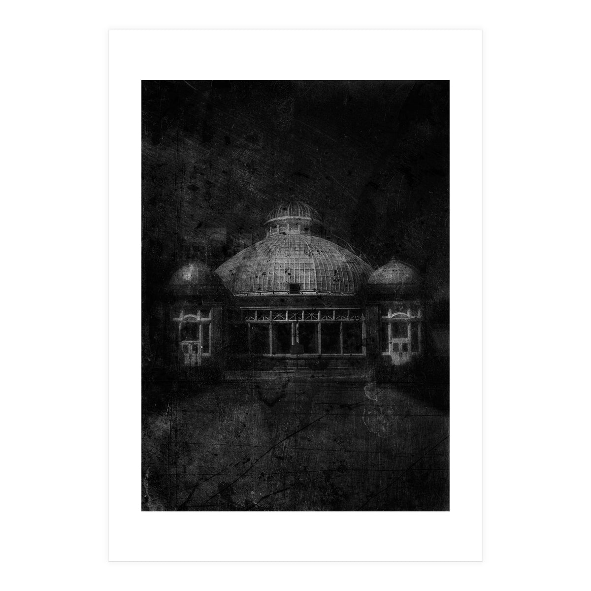 Allan Gardens Conservatory Palm House No 3 Old Film Version (Print Only)