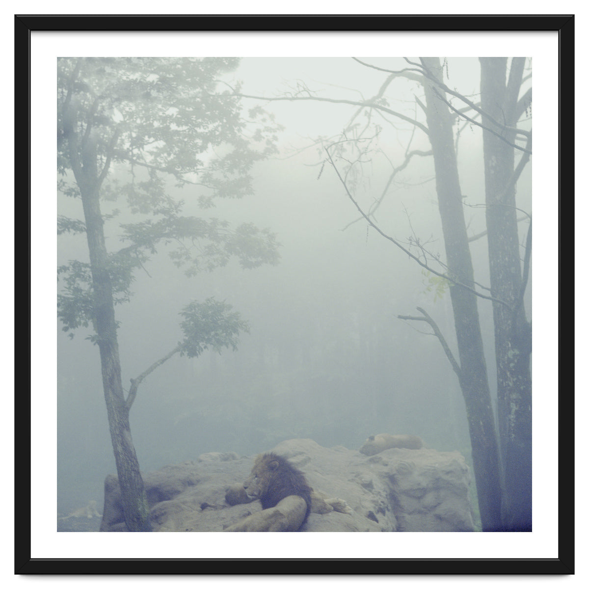 Silence of breath - 02