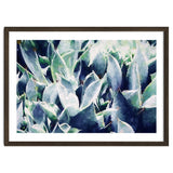 Cactus Garden thumbnail