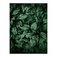 New Foliage Green Ii (Print Only)