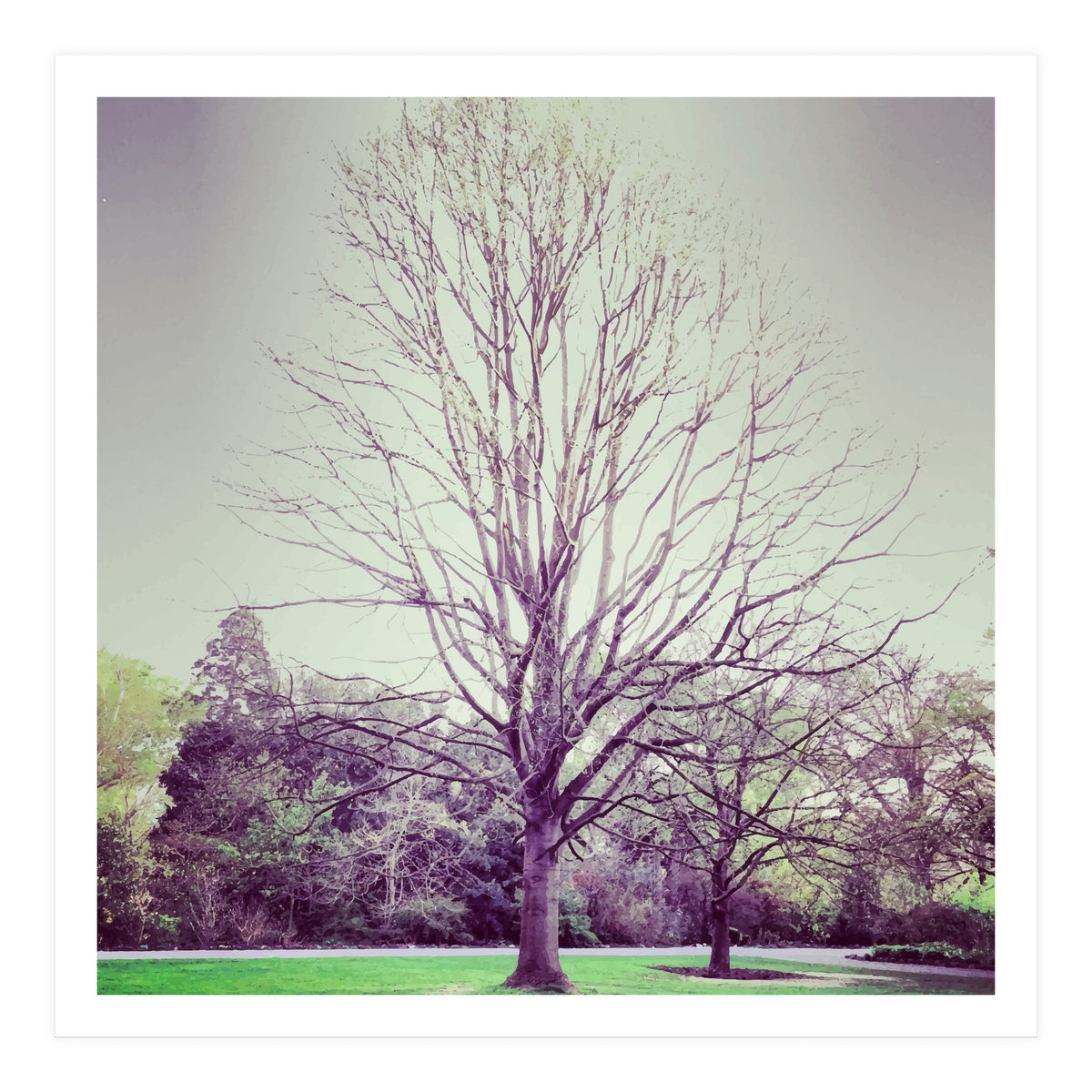 Tree Of Dreams (Print Only)