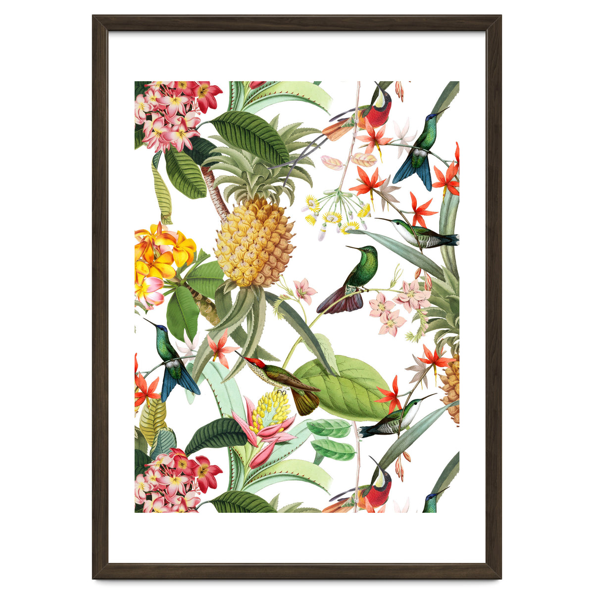 Hummingbirds in tropical Jungle