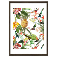 Hummingbirds in tropical Jungle