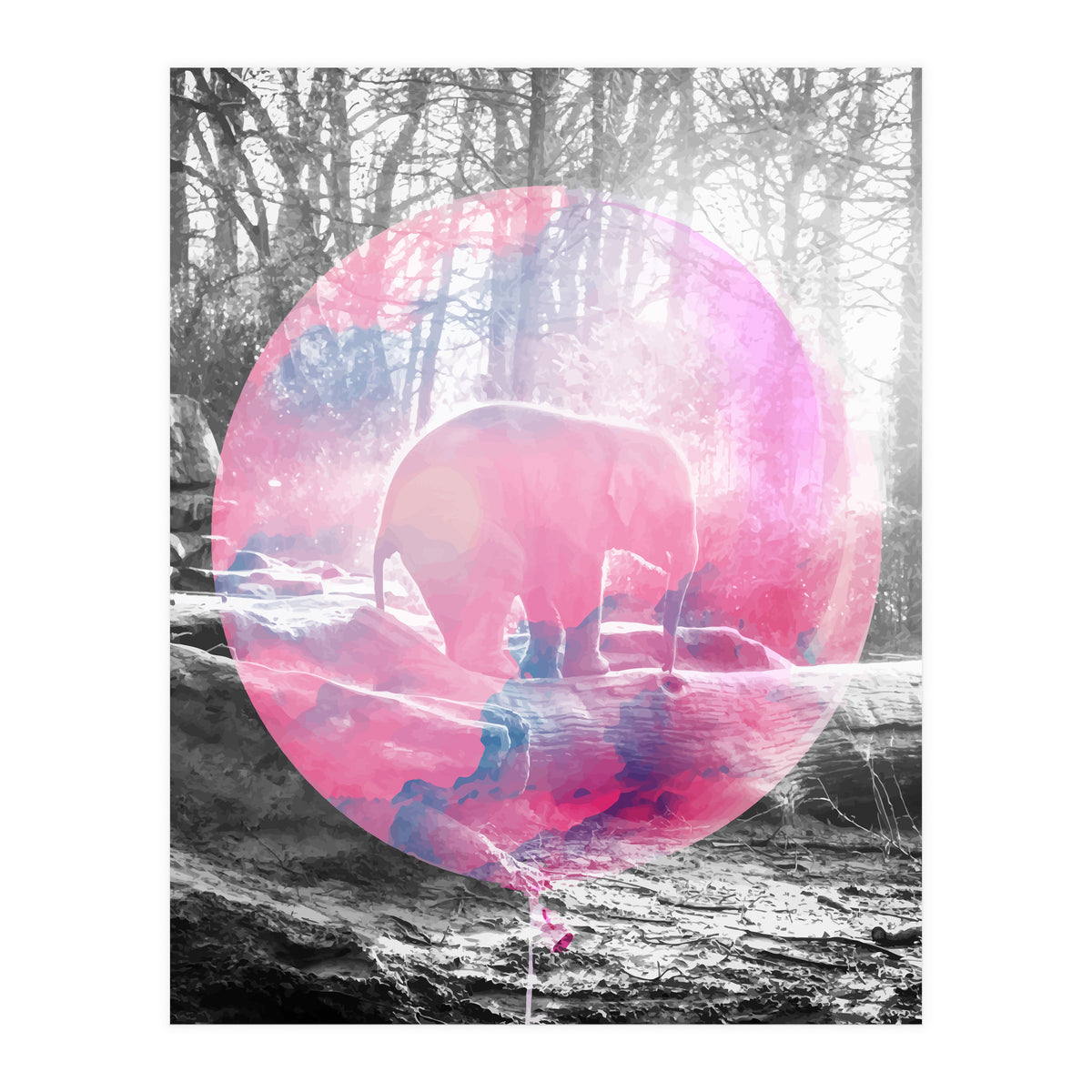 Baby Elephant In A Balloon (Print Only)