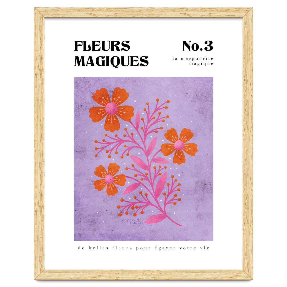 Magical Flowers No.3 Magic Daisy