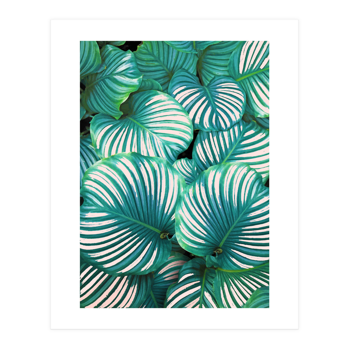 Intemporel #society6 #decor #buyart (Print Only)