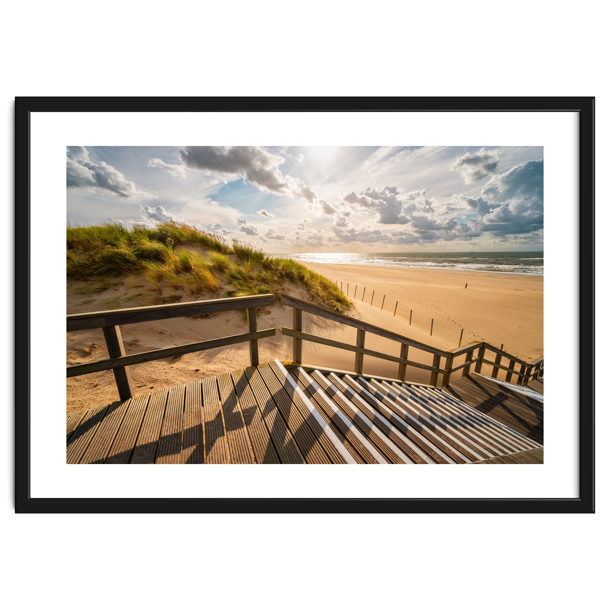 A day at the Dutch beach