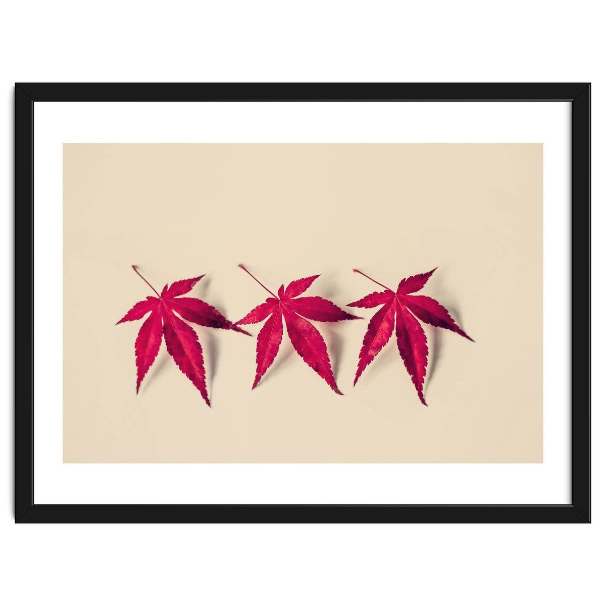 Dancing Leaves