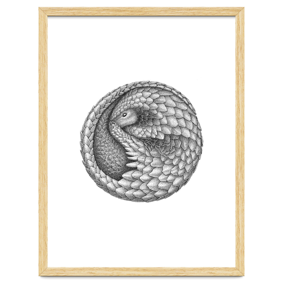 Pangolin no. 2