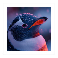 Close Up Penguin With Snowflakes On Head (Print Only)