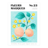 Magical Flowers No.23 Apricot Blossom (Print Only) thumbnail