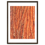 Tree Bark thumbnail