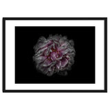 Backyard Flowers No 118 Color Version thumbnail