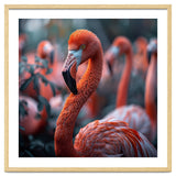 Beautiful Close Up Of A Pink Flamingo Bird thumbnail