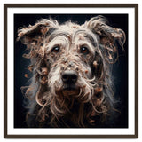 Old Dog 09 thumbnail
