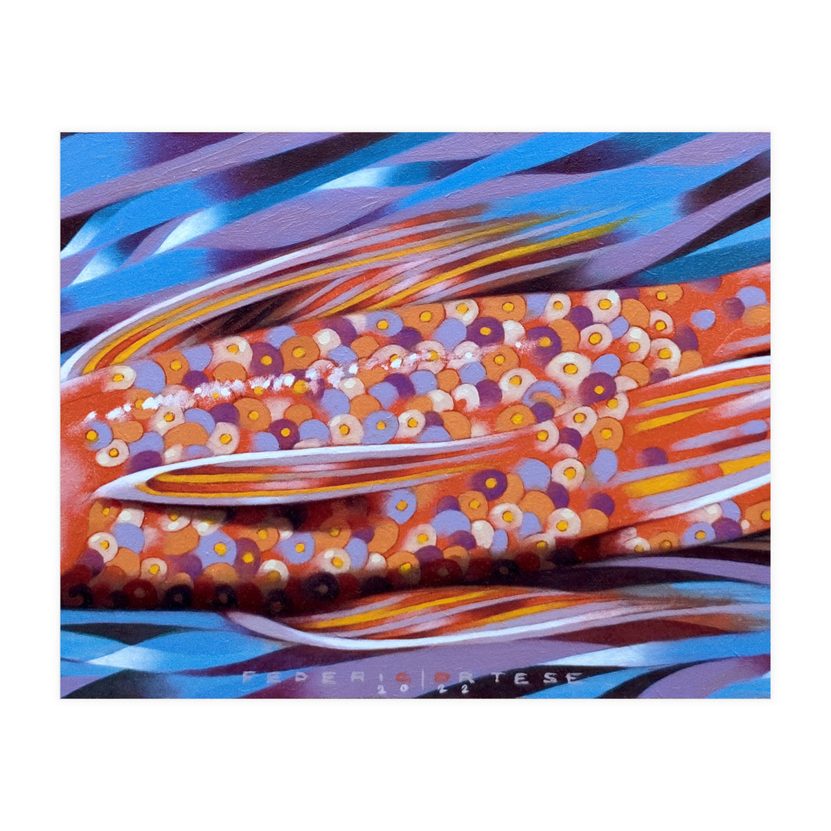 Little fish (Print Only)