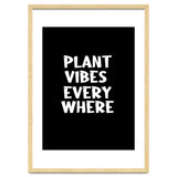 Plant vibes everywhere thumbnail